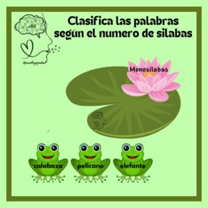 Sapitos de las palabras